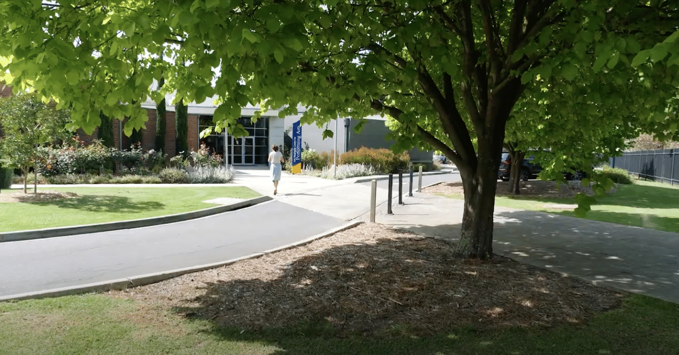 A large shady tree at the Pakenham Campus