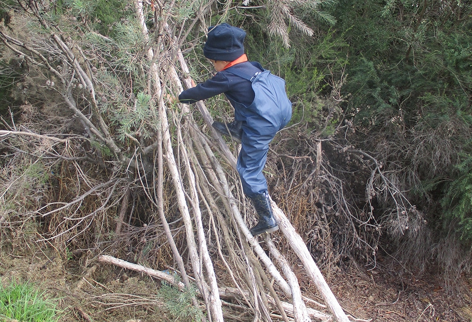 Little Beacons student climbing a tree