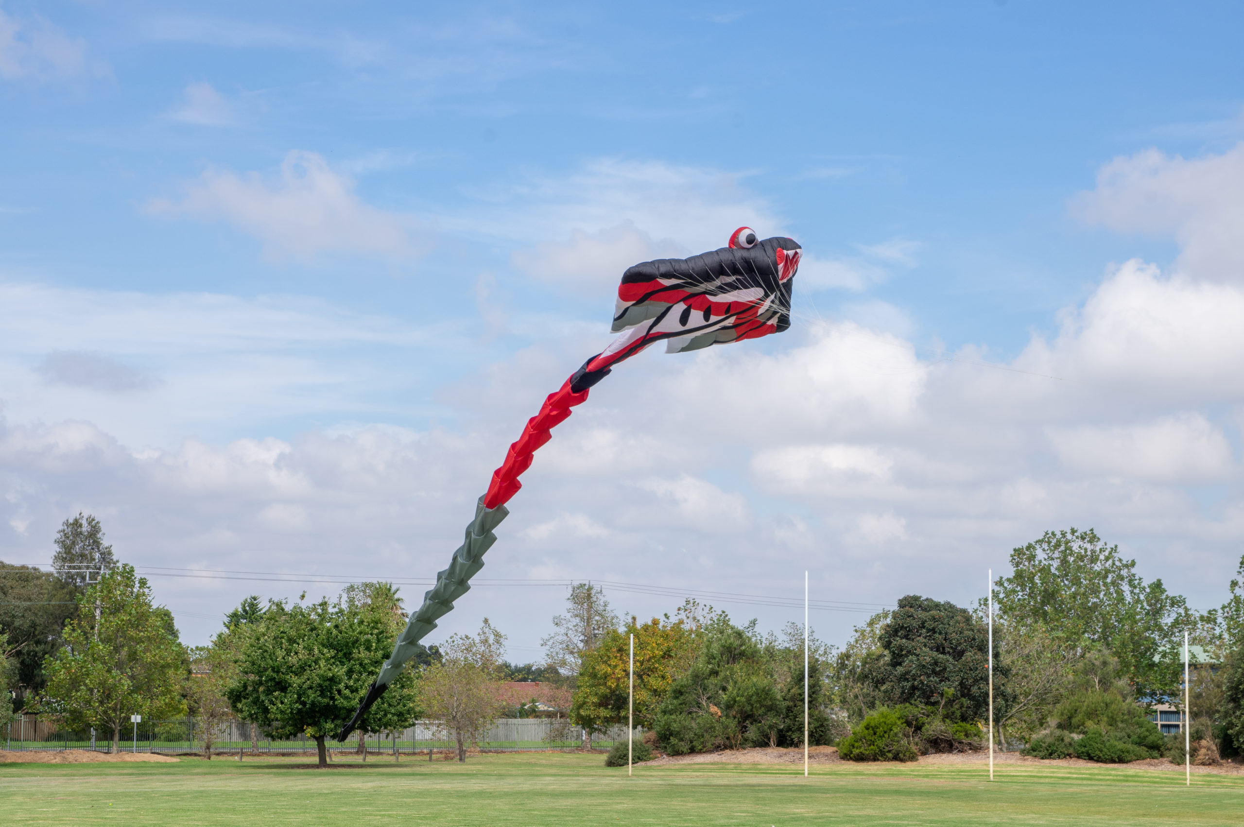 Giant kite flying over Beaconhills, Pakenham.