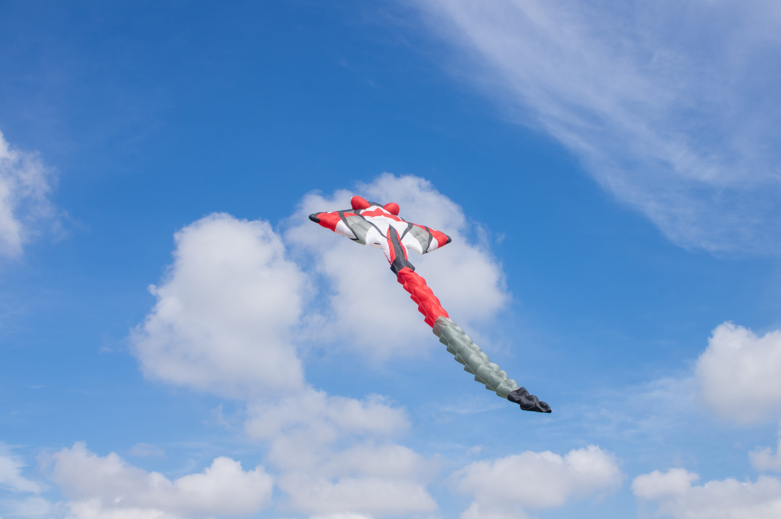 Large stingray kite flying over Beaconhills College, Pakenham Campus.