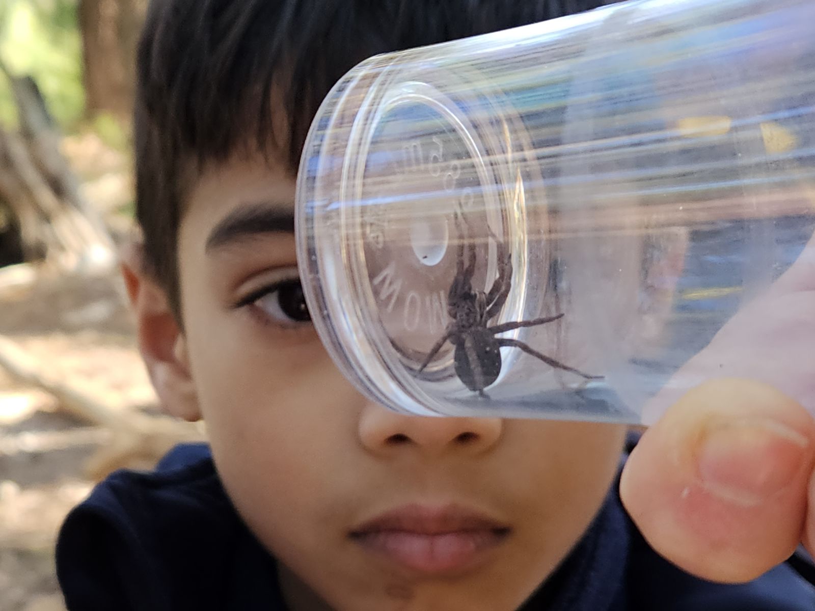 A boy looking at a spider in a glass