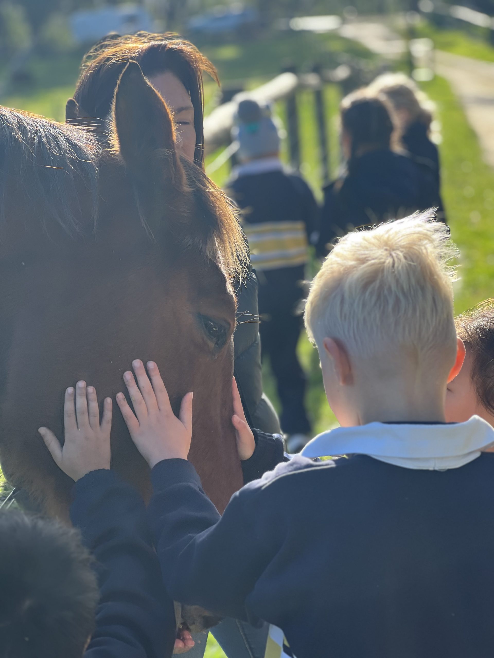 Children patting a horse