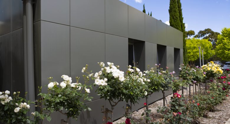 White roses at Beaconhills College